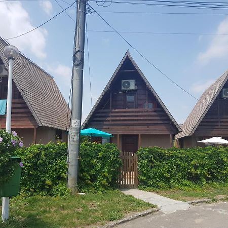 코스티네스티 Casutele Intim 빌라 외부 사진