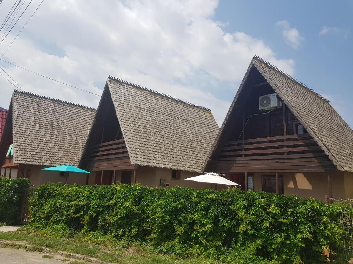 코스티네스티 Casutele Intim 빌라 외부 사진